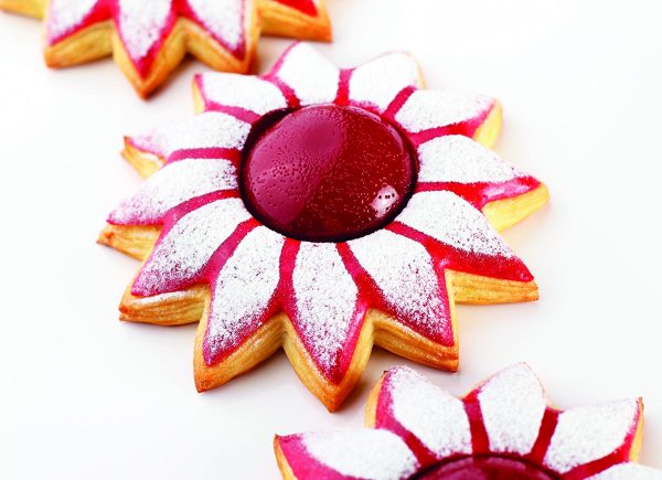 APCA MALAYSIAFleur framboise copie 2